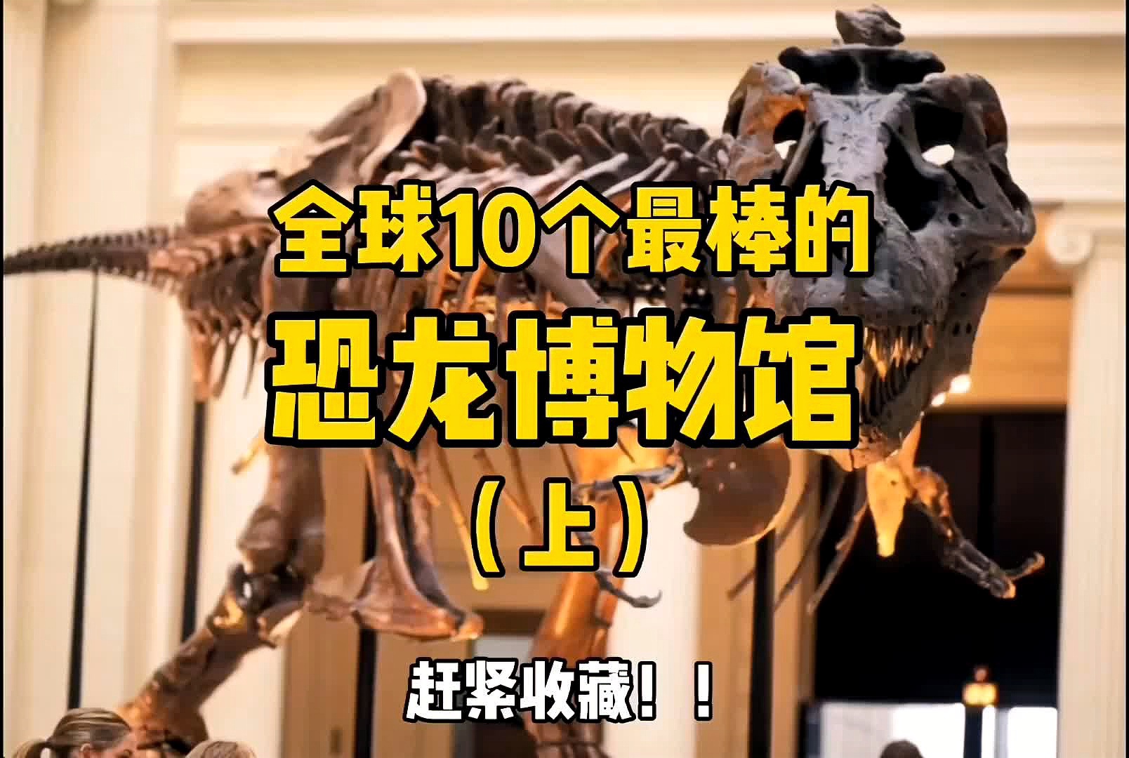 恐龙专家？博物馆还为大家准备了恐龙的咸，实施聚力建设现代产业体系