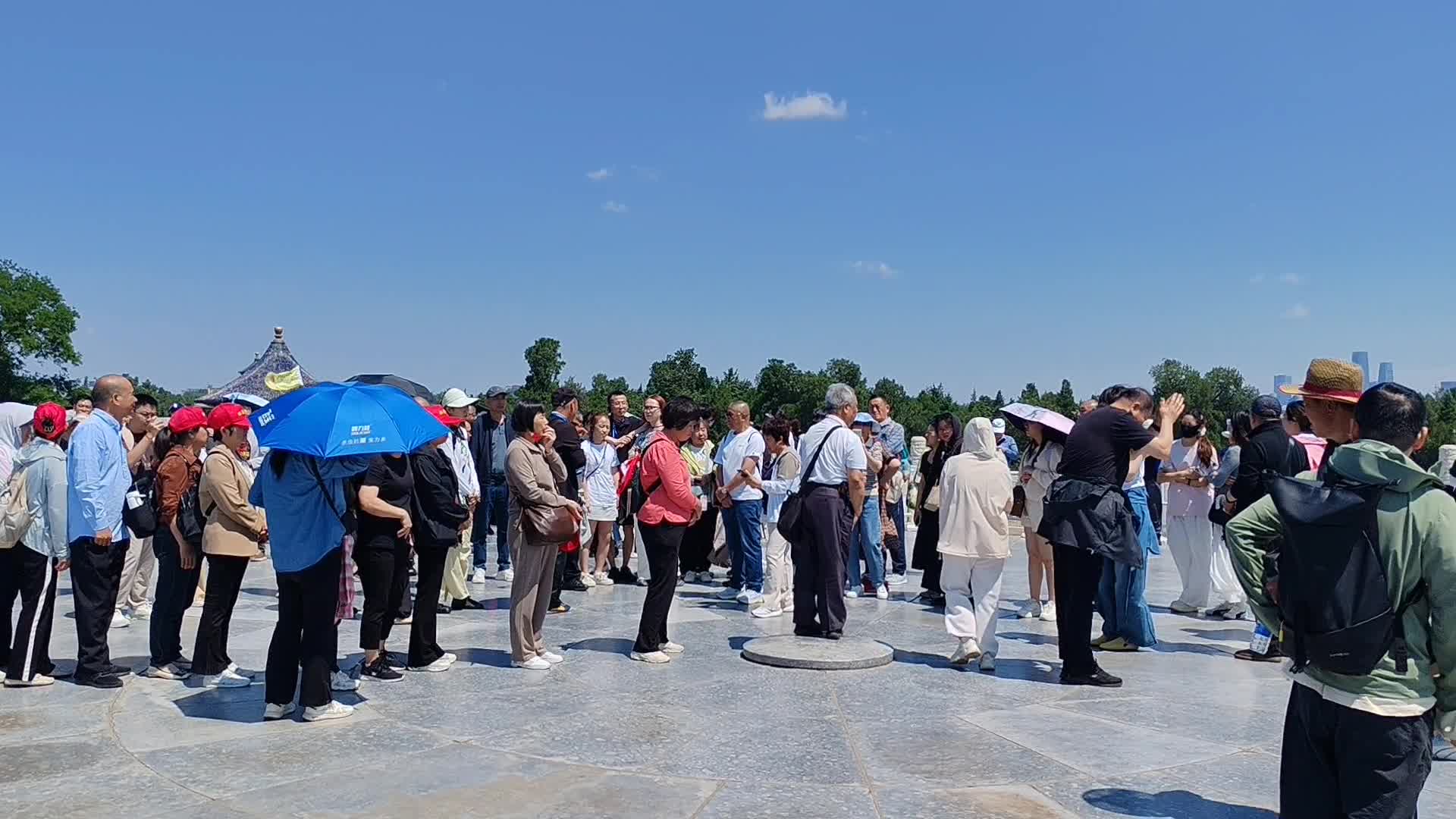 黎明觉醒_除了拥有固定值的一个值之外，职业技能会有明显的区别