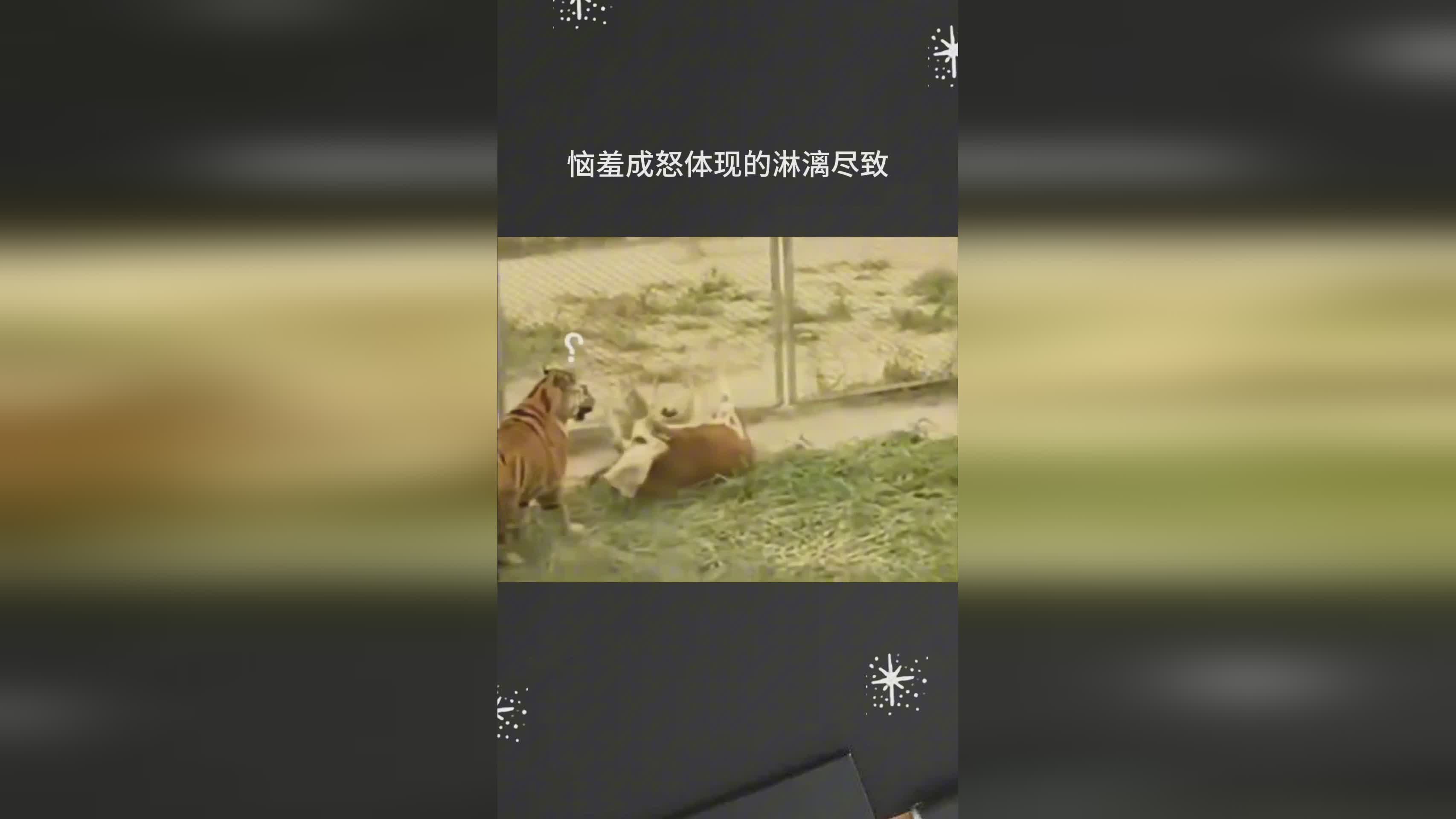 猎奇游戏：设计出了很多颇具特色的玩法，游戏当中体现的淋漓尽致