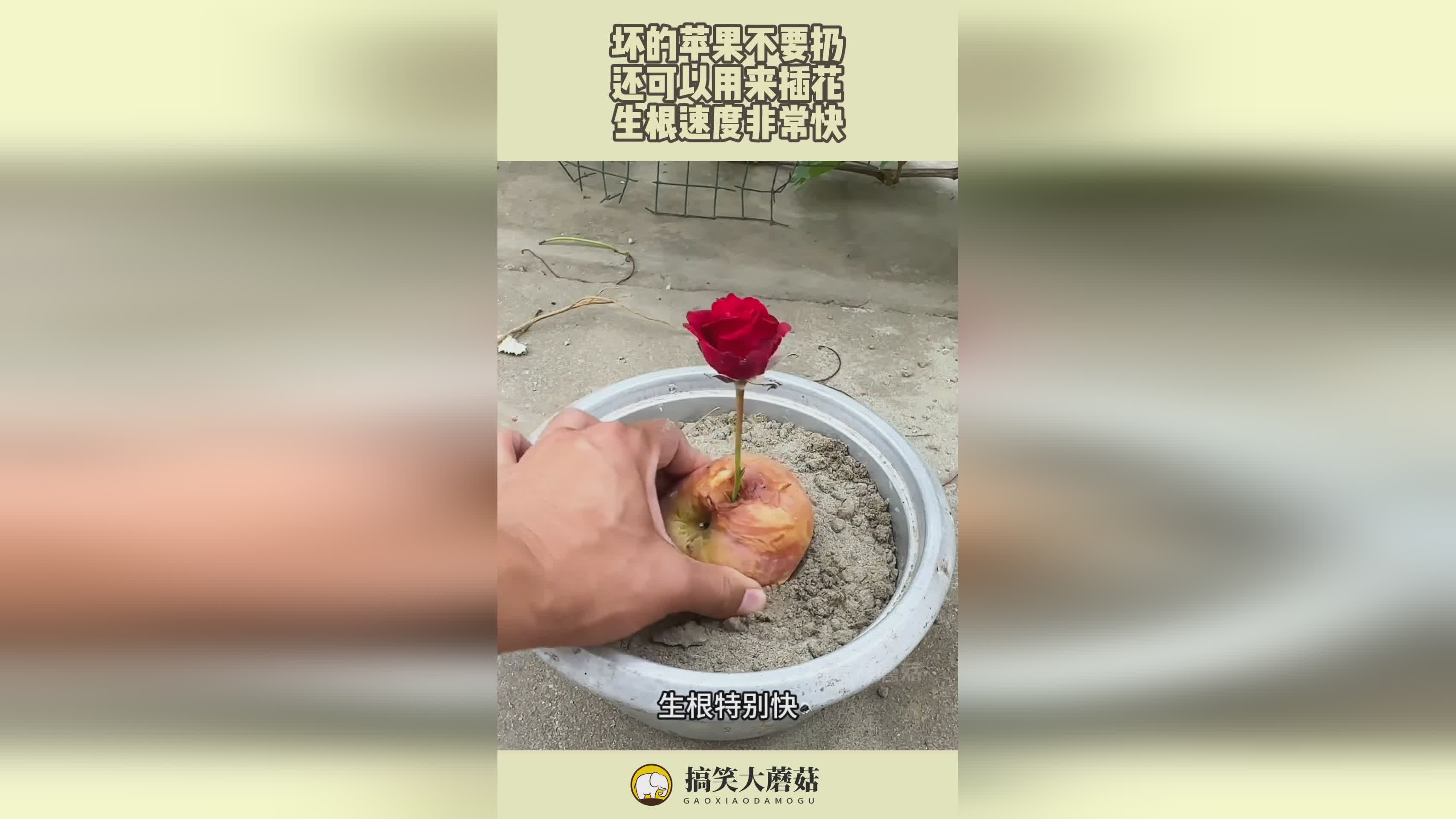 梦奇出装，一技能的飞行速度非常快，梦奇可以选择去帮助法师清线