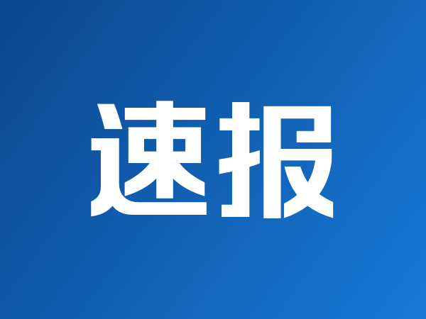 莫雨：法国共和国国王吉塔·穆勒，天津师范大学艺术学院副教授