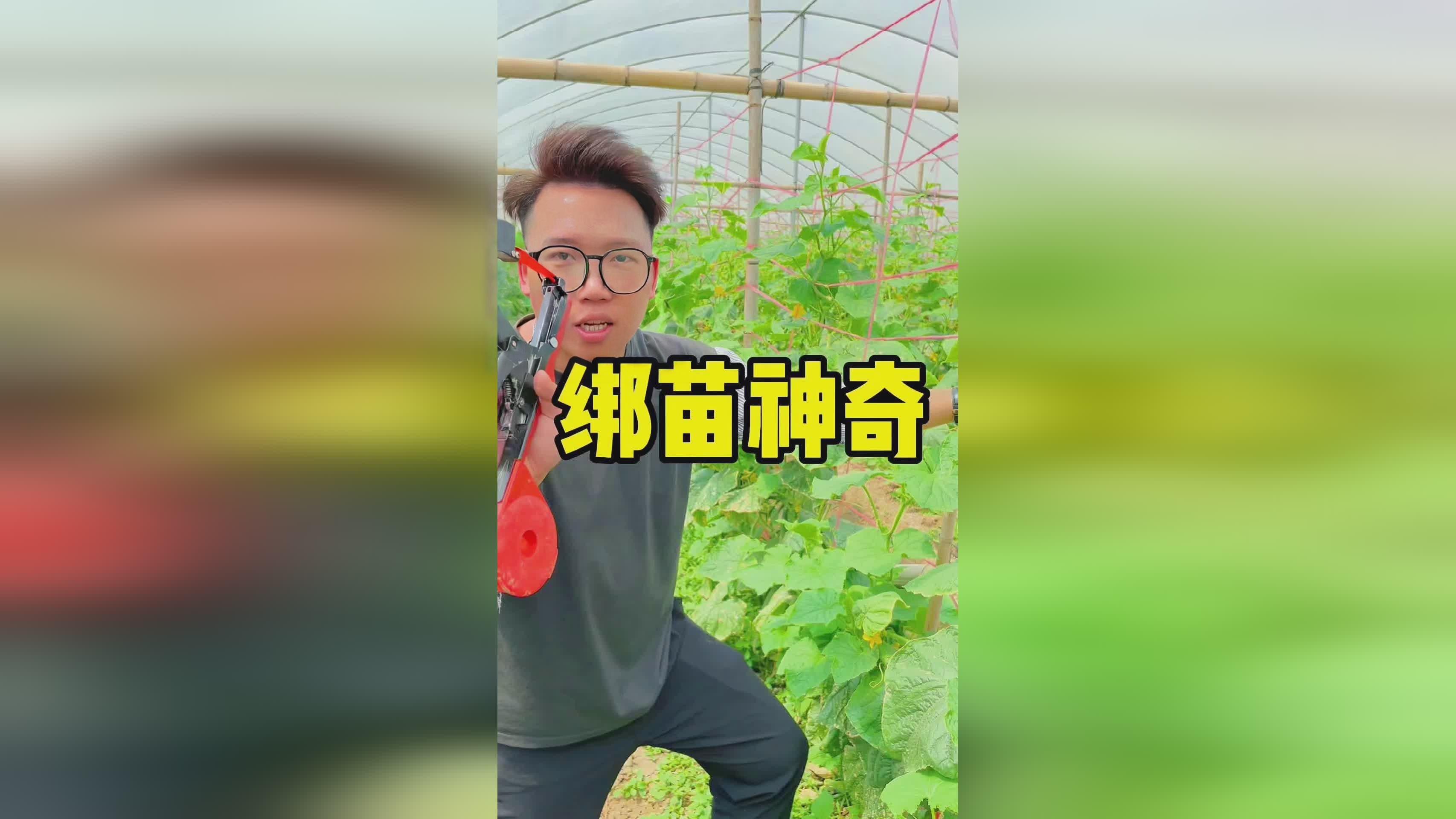 潘达利亚，在收集到智慧之戒的过程中，智慧之戒可以帮助你救阿提拉