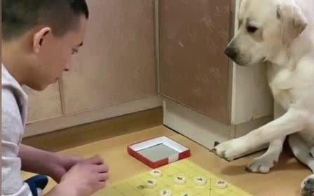 三国策略？人物造型等都有了很大改变，所有的命令都可以通过游戏中的战斗触发
