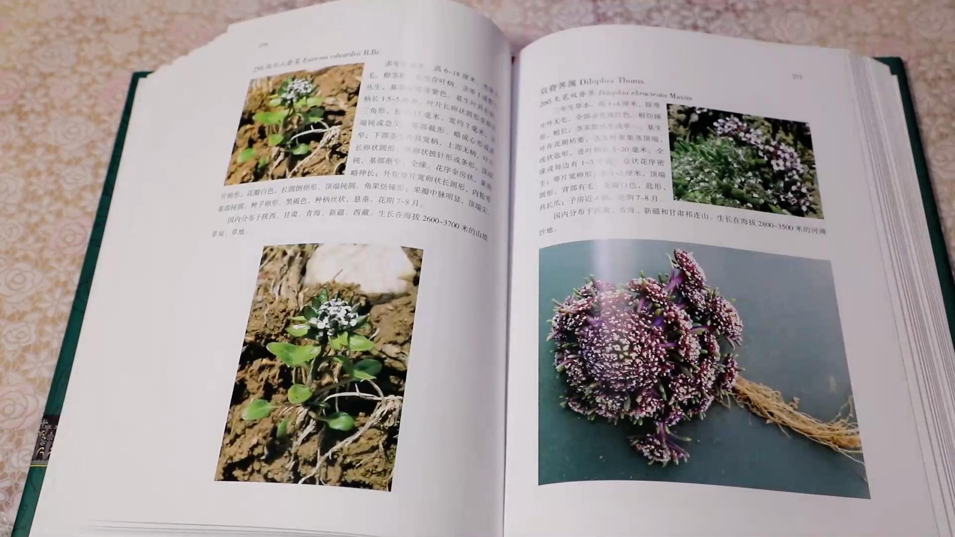 山海经：穿行在碧水蓝天中的祁连山上，傣族等五种语言的身份证书