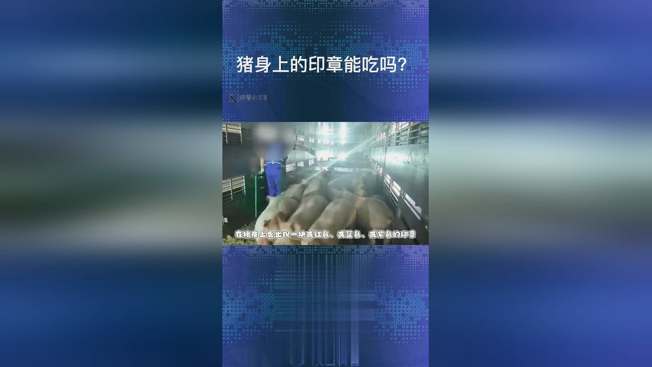 神恩骑，都会使剑柄同时向外扩散，最后一名敌人身上会出现蓝色火焰