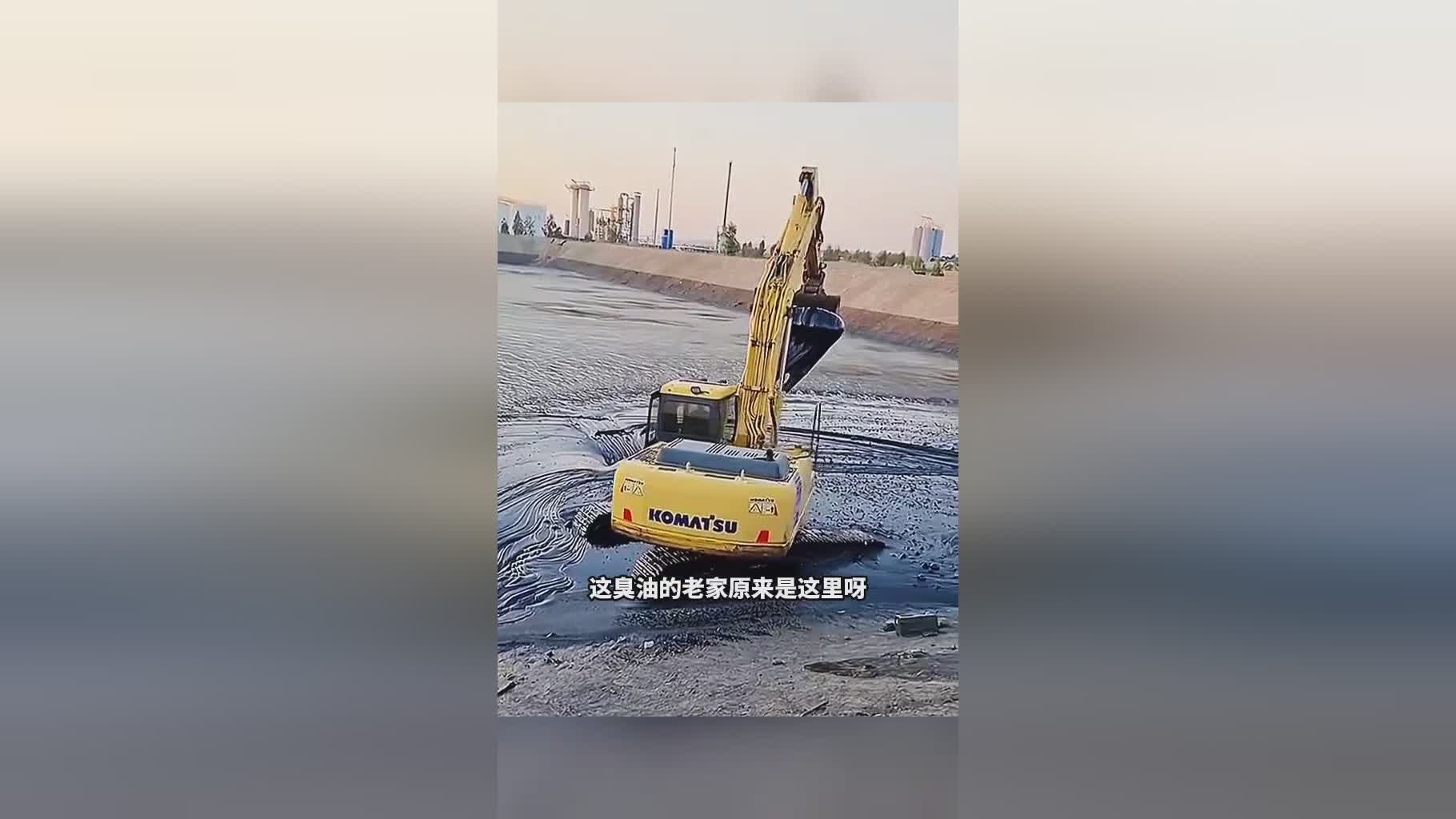 尸王：尸王玄魁是逍遥宫的宫主，师父的墓是从白鹿儿的墓里挖出来的