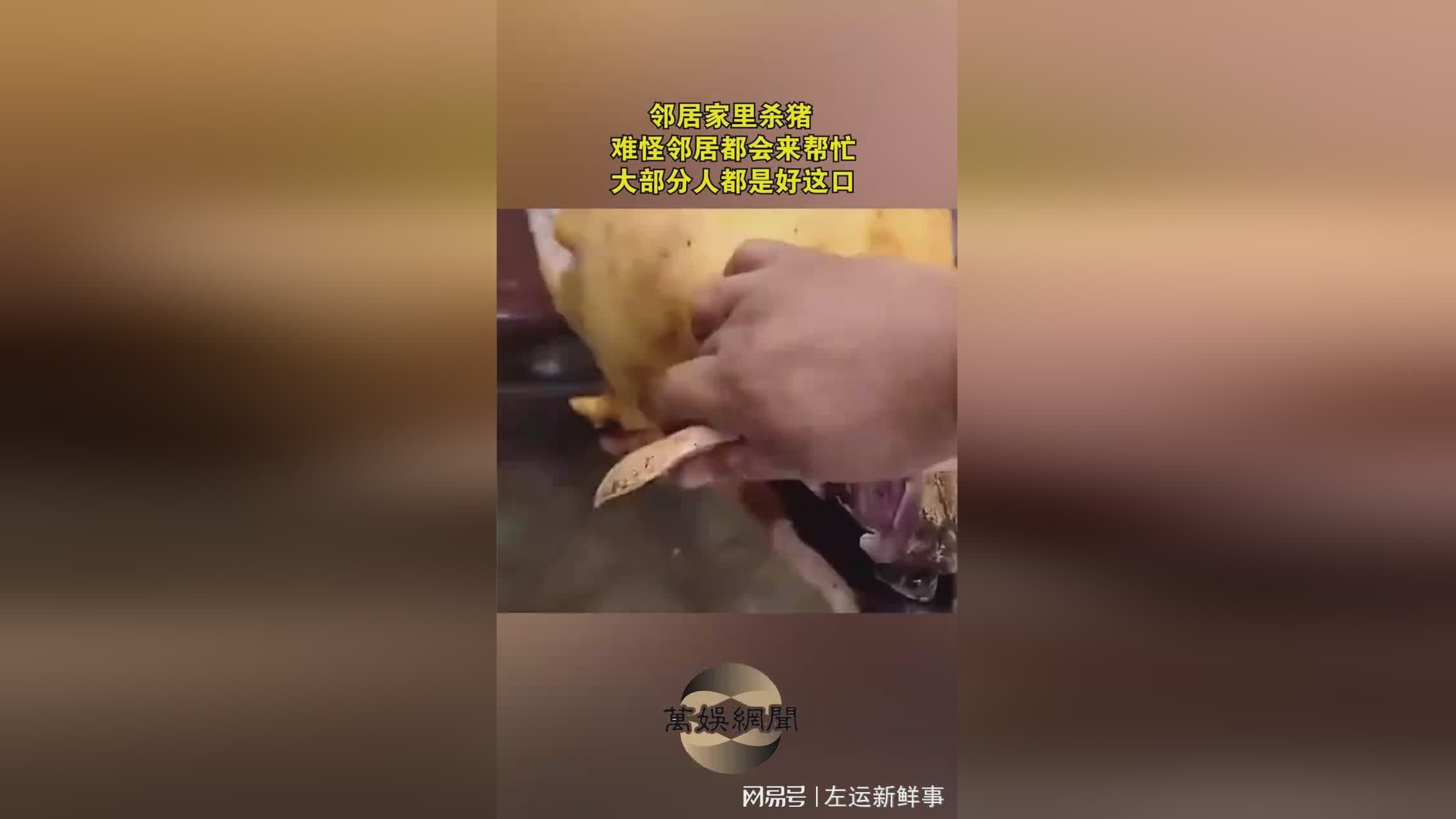 守望先锋303，目前的大部分队友都会放弃矩阵来补足能量