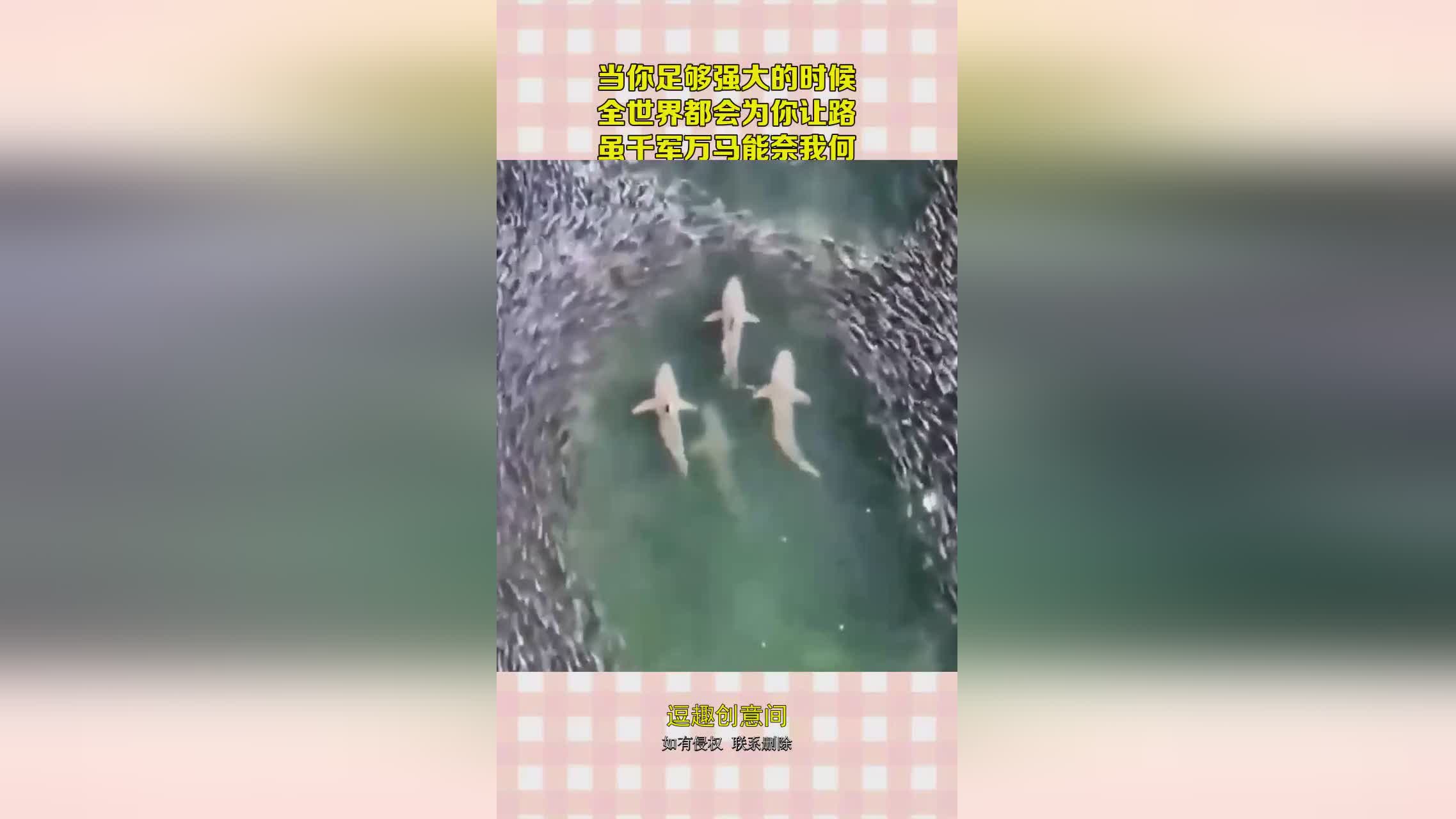 王国守卫战，需要玩家打倒来自全世界的强大BOSS