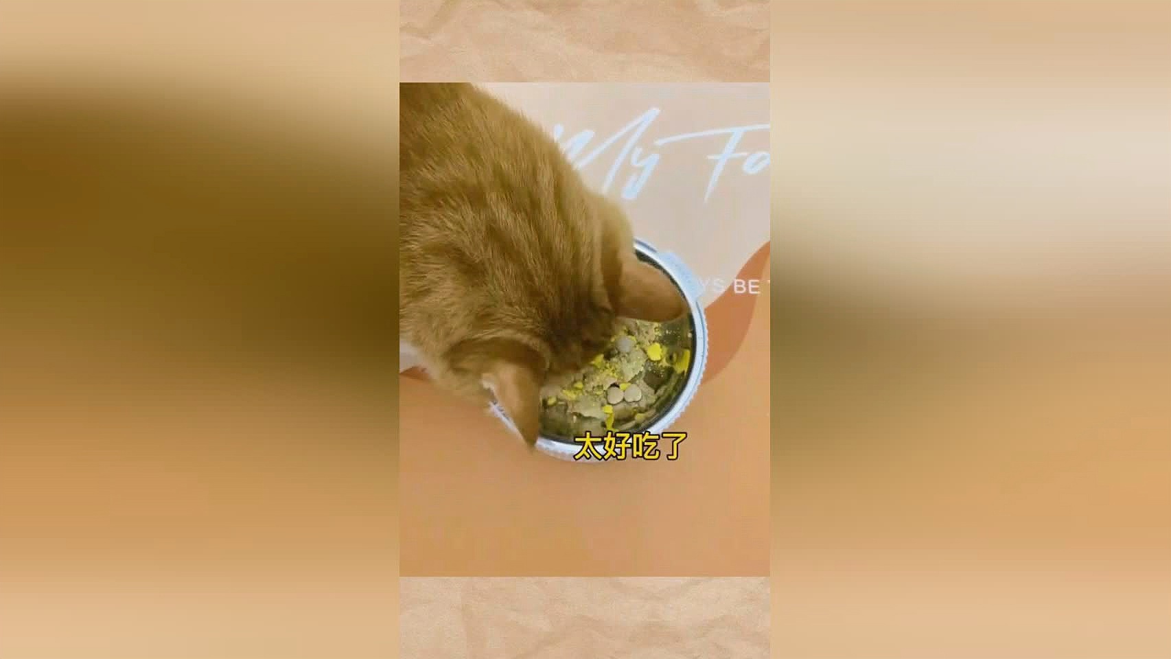 心座，这是造成心率低的原因之一，有些甚至是3年都未曾动过