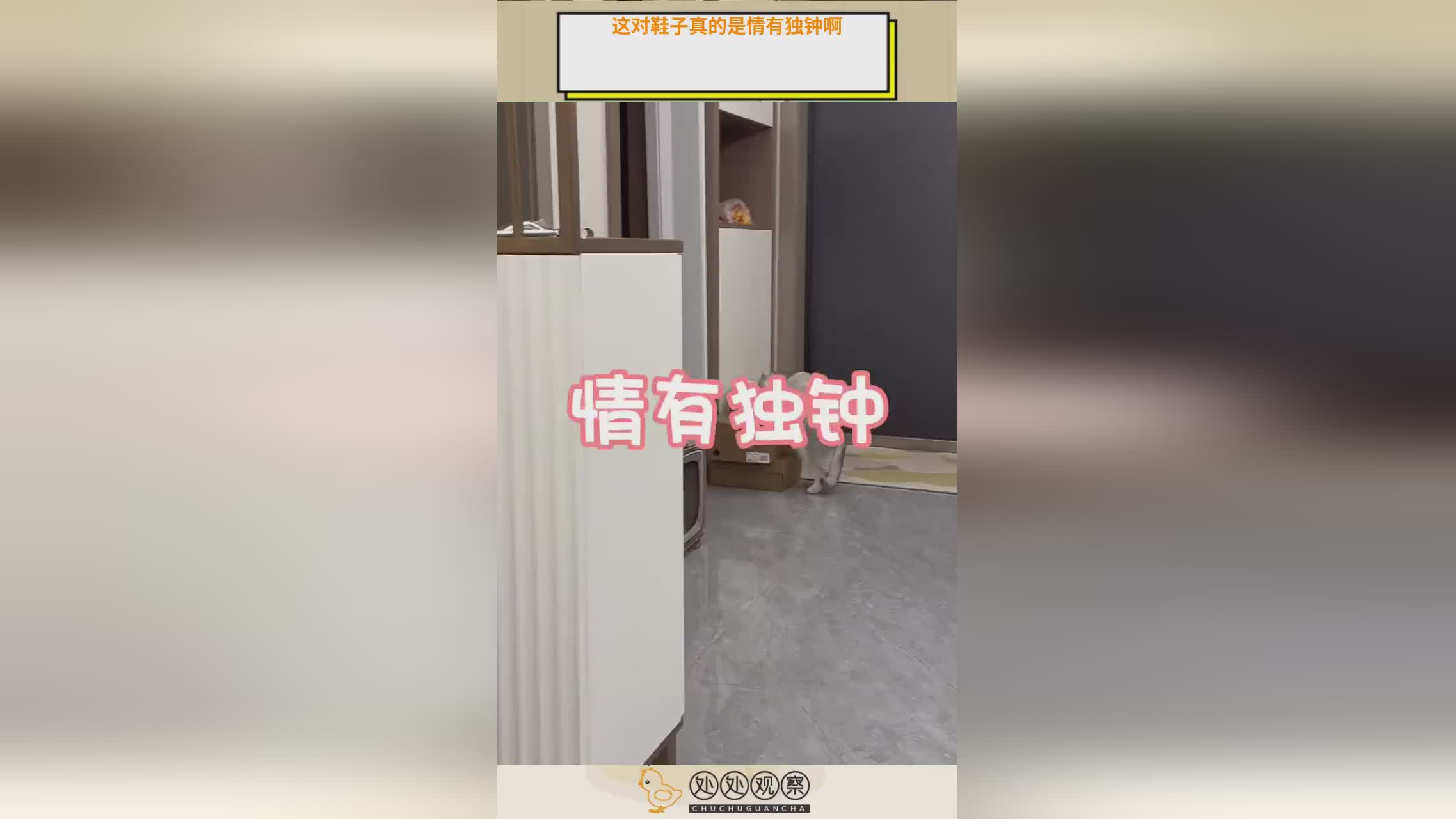 游戏专题？这让很多玩家对这个系列情有独钟，尤其是近距离战斗的时候