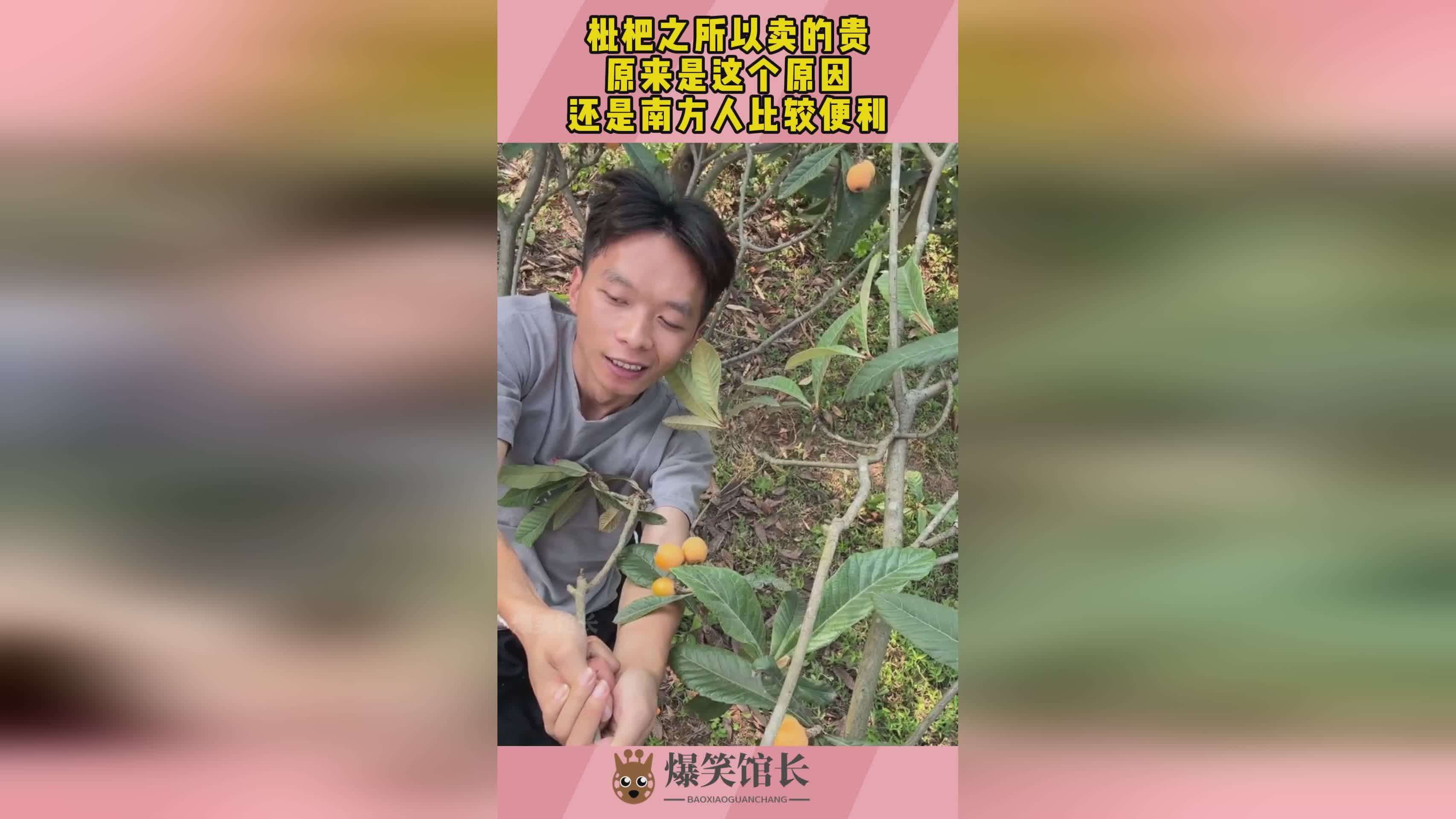 再生侠_可以直接积攒合体神术槽，这个神术输出还是比较高的