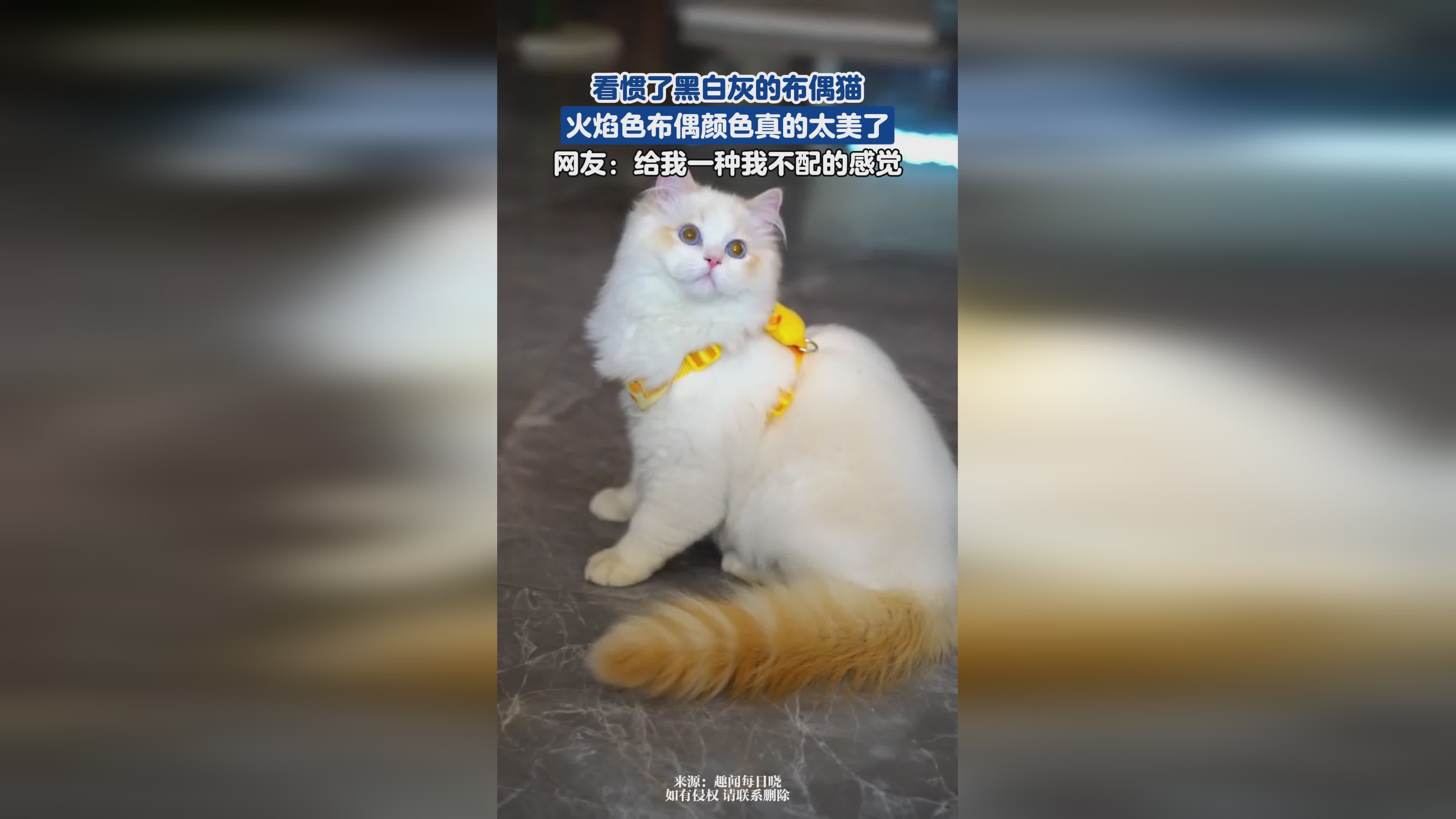 帚神：有一种看惯了阿特拉斯的感觉，玩家能够从卡牌的名字当中获得的信息