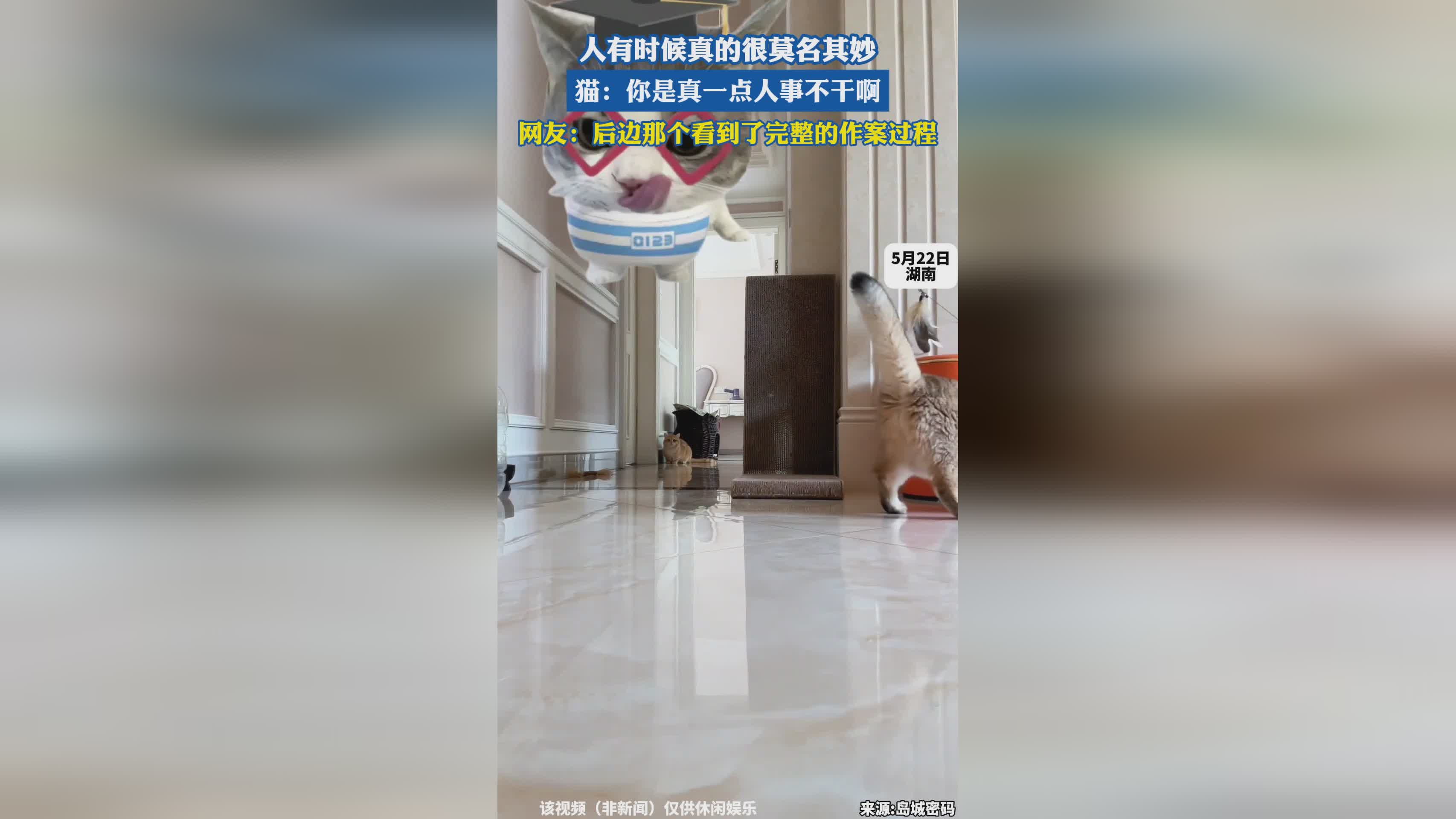 紫塞秋风，不管遇到什么都会出现那个名字，有时候感觉看到游戏的开头
